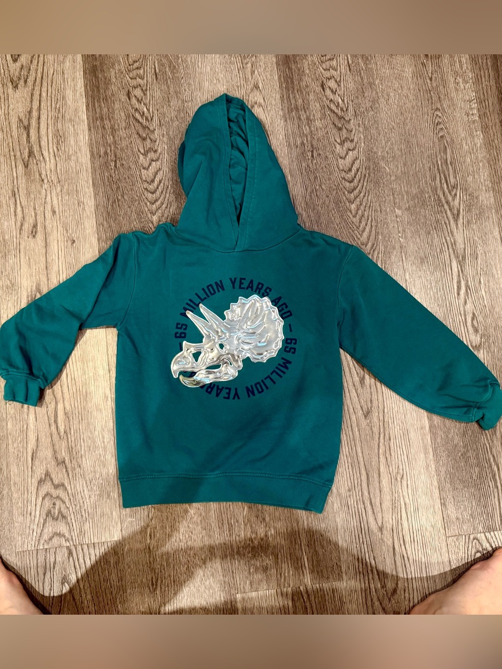 Dino hoodie